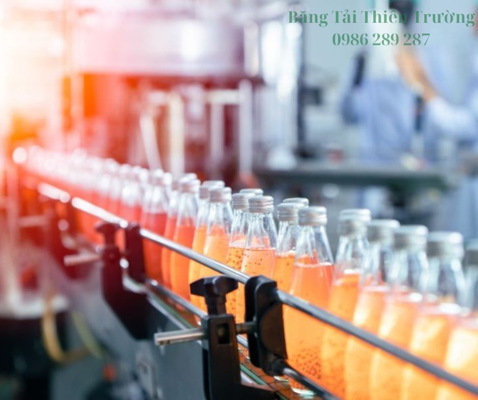 Băng Tải Xích Nhựa Thiên Trường